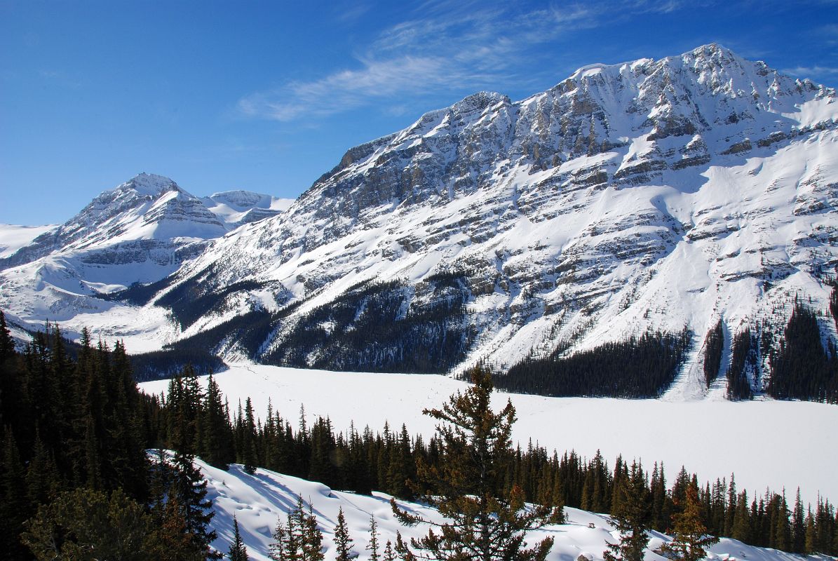 58 Peyto Peak, Peyto Lake, Caldron Peak From Near Icefields Parkway